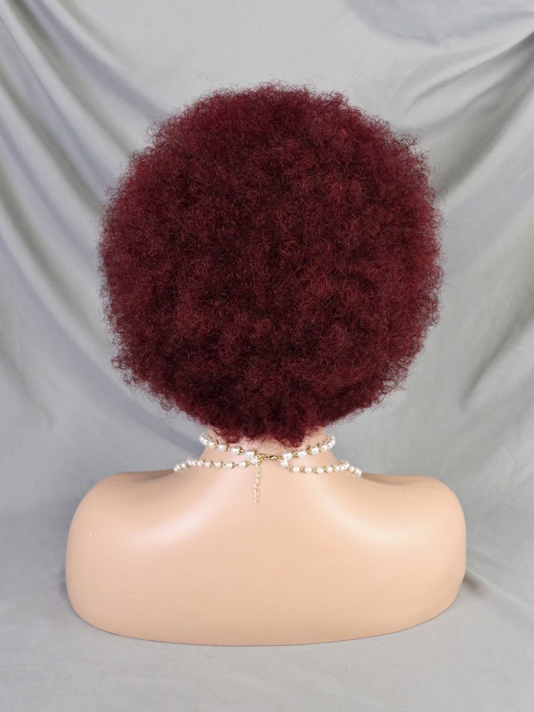 Fluffy Afro Kinky Curly Human Hair Wigs For Black Women Natural Short Bob Wig 13x4 Frontal 99j Burgundy Colored Lace Front Wigs