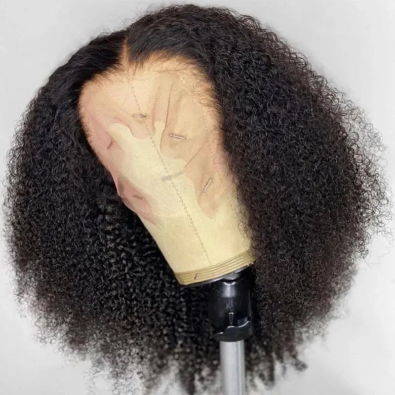 Wholesale Brazilian Hair Lace Closure Wig Short Curly Wig Virgin Human Hair Cheap Afro Kinky Curls Bob Lace Wig Vendors
