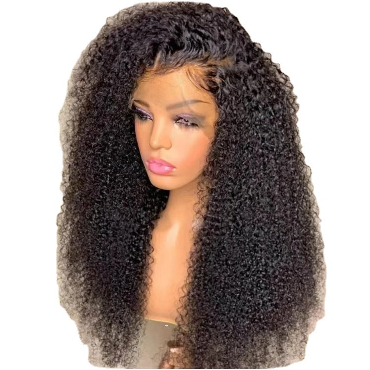 Amazon hot selling African women's small roll wig front lace human hair wig