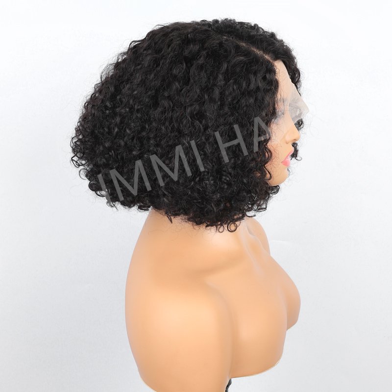 Cheap Price 13*1 Lace Curly Human Hair Wig Bleached Knots Short Brazilian Wig Transparent Lace Human Hair Wig For Black Women