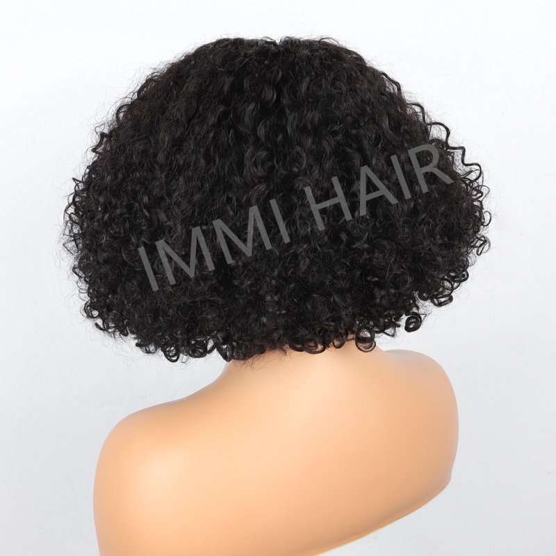 Cheap Price 13*1 Lace Curly Human Hair Wig Bleached Knots Short Brazilian Wig Transparent Lace Human Hair Wig For Black Women