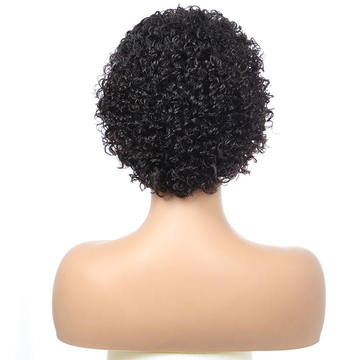 Affordable glueless short black pixie curly lace front brazilian human hair wigs for black women