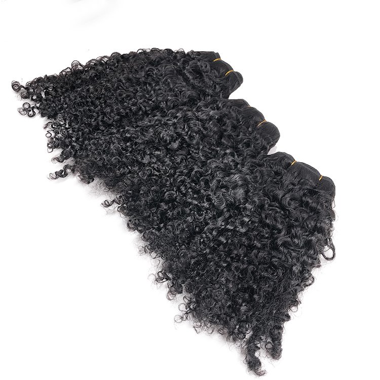 Burmese Kinky Afro Curly Hair Bundle Full Cuticle Aligned Raw Vietnamese Human Hair extensions Double Weft Vietnamese raw hair