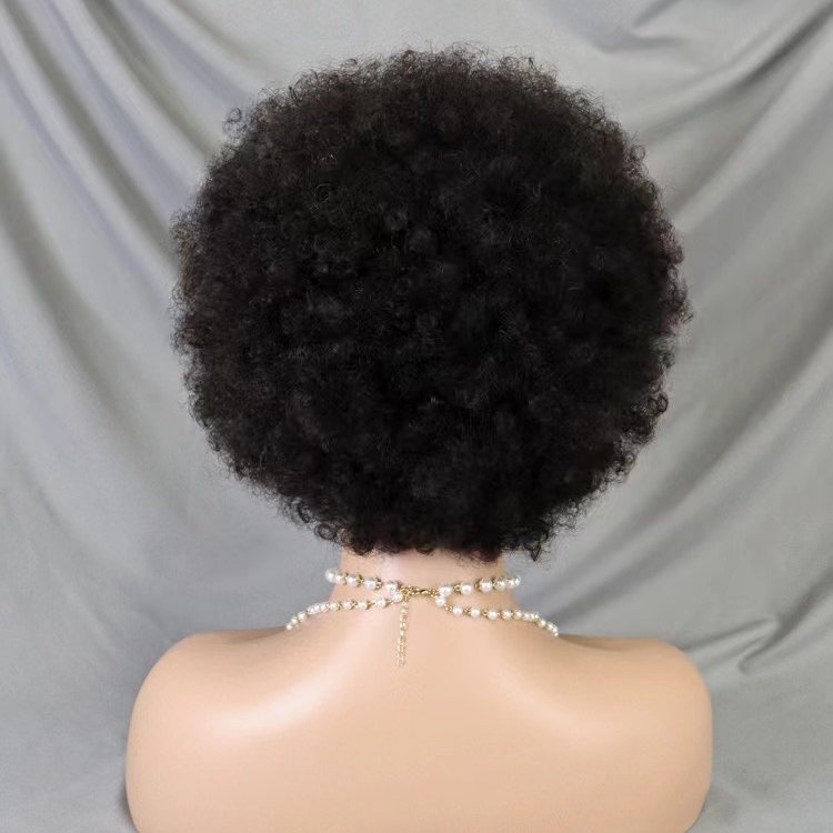 Short Pixie Cut Wigs Afro Human Hair Wigs Pre Plucked Raw Vietnamese Virgin Hair Pixie Lace Front Wigs for Black Woman