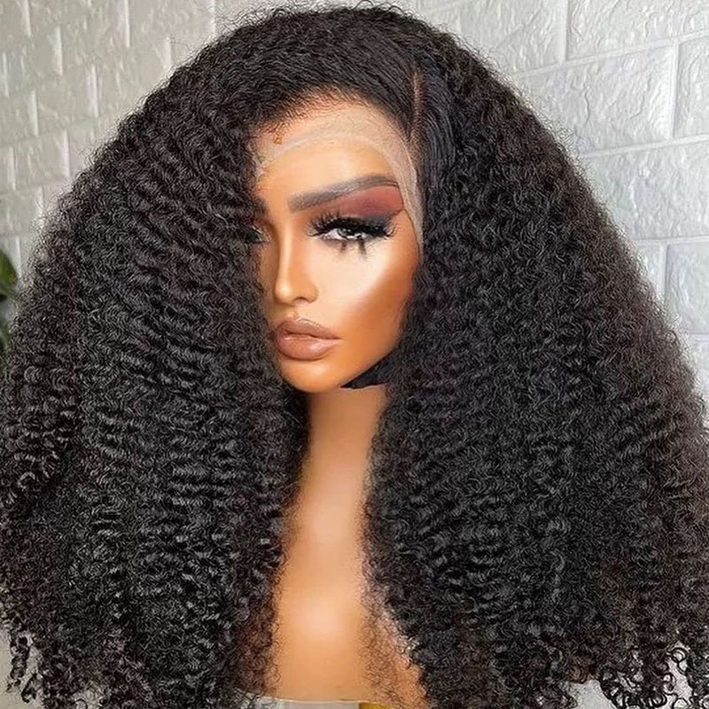 Kinky Curly Wigs Human Hair 100% Virgin Vietnamese Hair Glueless Full Frontal Wigs Pre Plucked for Black Woman