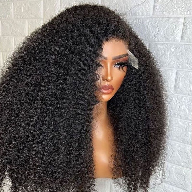 Kinky Curly Wigs Human Hair 100% Virgin Vietnamese Hair Glueless Full Frontal Wigs Pre Plucked for Black Woman