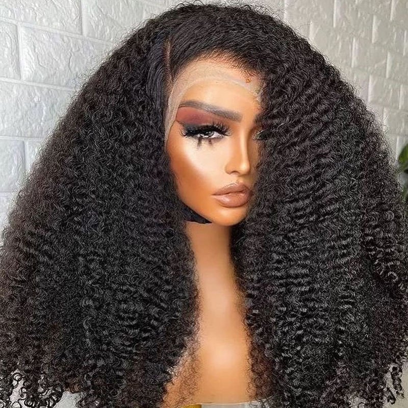 Kinky Curly Wigs Human Hair 100% Virgin Vietnamese Hair Glueless Full Frontal Wigs Pre Plucked for Black Woman