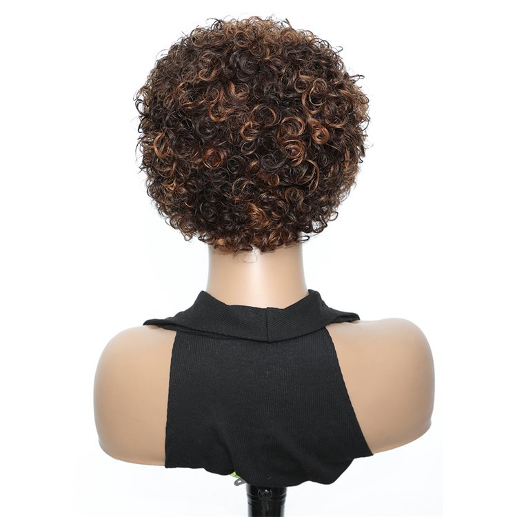 Wholesale Full Cuticle Human Hair Wig Pixie Cut Human Hair Wig T Lace Frontal Curly Brazilian Virgin Human Hair Wigs For Woman