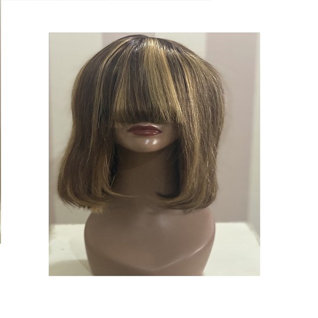 Top Quality Raw Hair 12 Inch Bob Human Hair Coloured Raw Virgin Cambodian Silky Smooth Straight Human Hair Wigs Suppliers Vendor
