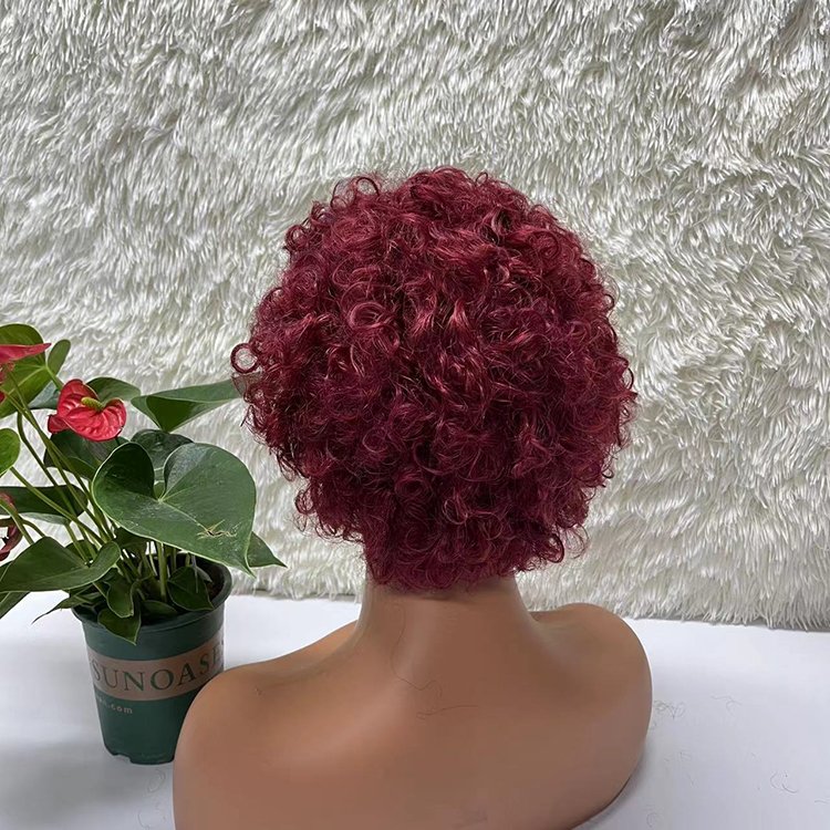 Factory Hot Sale 100% Virgin Wig Lace Front Wig Human Hair Wig Suitable For Black Women Products