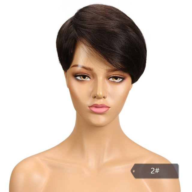Pixie Cut Wig Human Hair Glueless Lace Closure Pre Cut Human Hair Short Pixie Wigs Pre Plucked with Baby Hair Wigs for Women