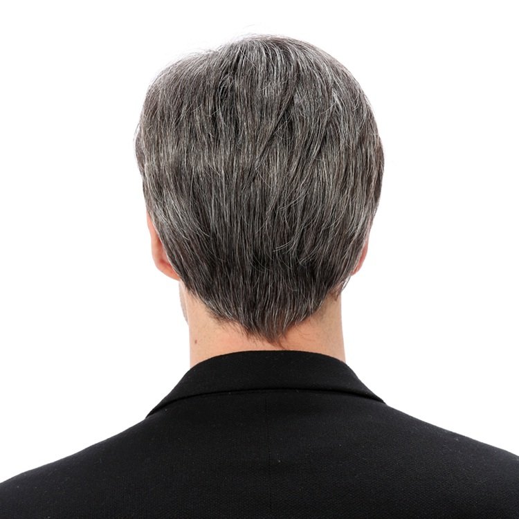 XISHIXIUBRAND Short Glam gray human hair men wigs Men's Grey Handsome Wig for male
