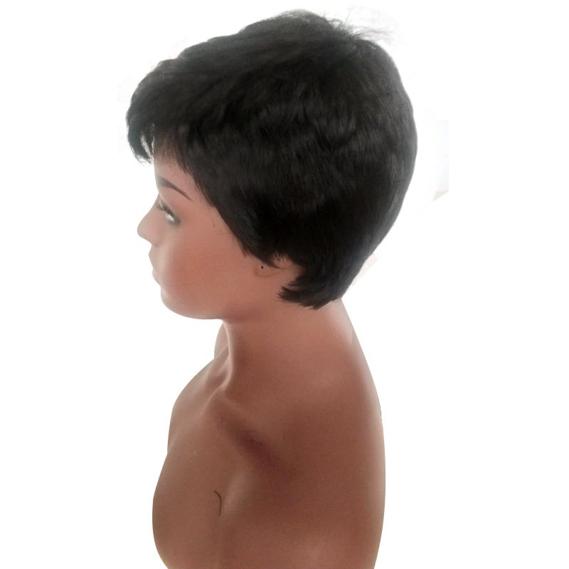 Women Short Straight Wigs Wholesale Brazilian Hair Bangs Pixie Human Hair Wig