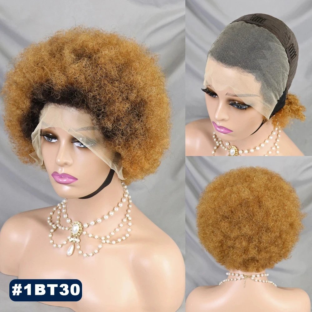 Natural Afro Kinky Curly Human Hair Wigs 13x4 Transparent Full Lace Frontal Short Bob Wigs Natural PrePlucked Hairline for Women
