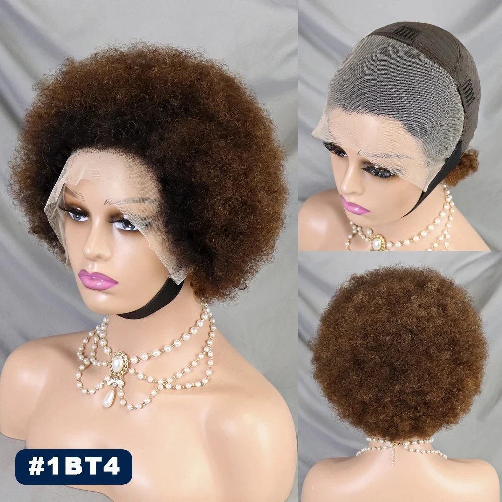 Natural Afro Kinky Curly Human Hair Wigs 13x4 Transparent Full Lace Frontal Short Bob Wigs Natural PrePlucked Hairline for Women