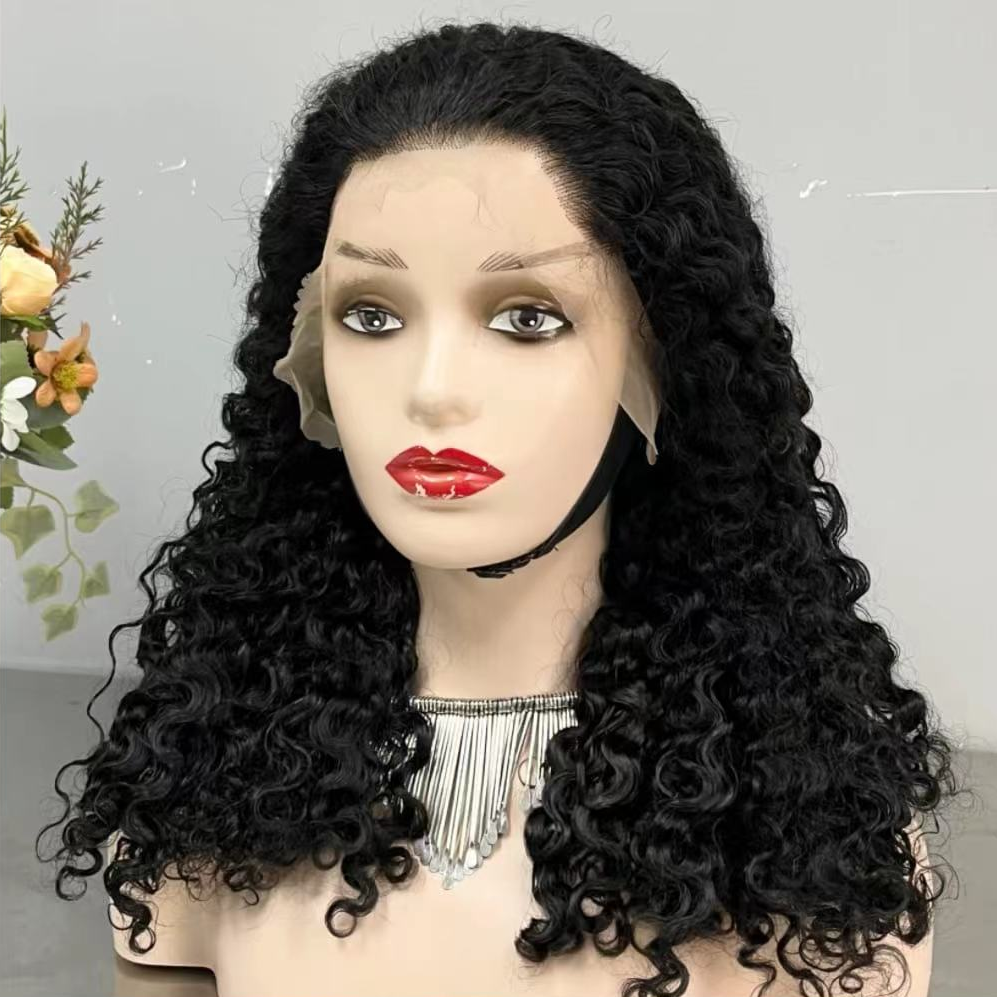 FH Wholesale Full Density Burmese Cabelos Human Hair Wigs 13x4 Lace Frontal Raw Vietnamese Hair Burmese Curly Wigs