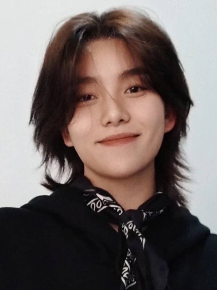 Wolf tail wig Men's short hair net red catfish head Korean version of handsome short straight hair personality, fashion natural simulation full set