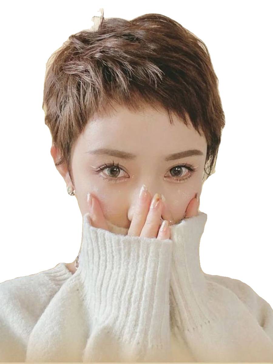 Dog and bangs fake hair Female short hair True real -life dual -handed needles True hair full -headed fashion natural short straight hair