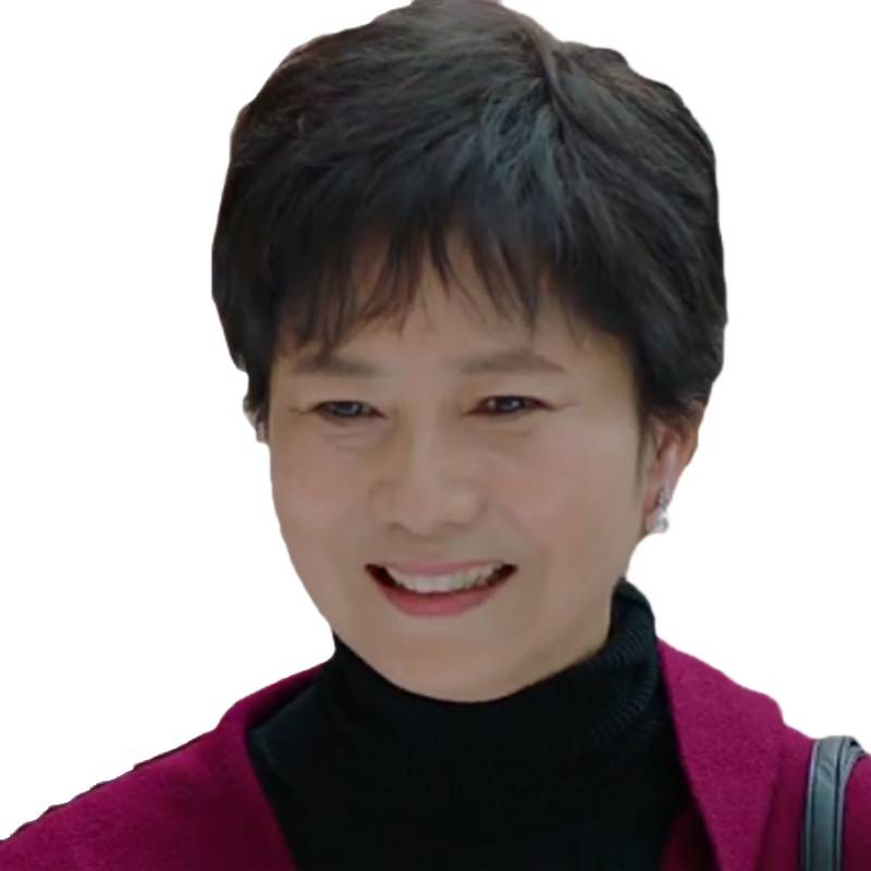 Wigs female short hair Mom, grandma, full set, full -haired hair wig female simulation, natural breathability and fluffy