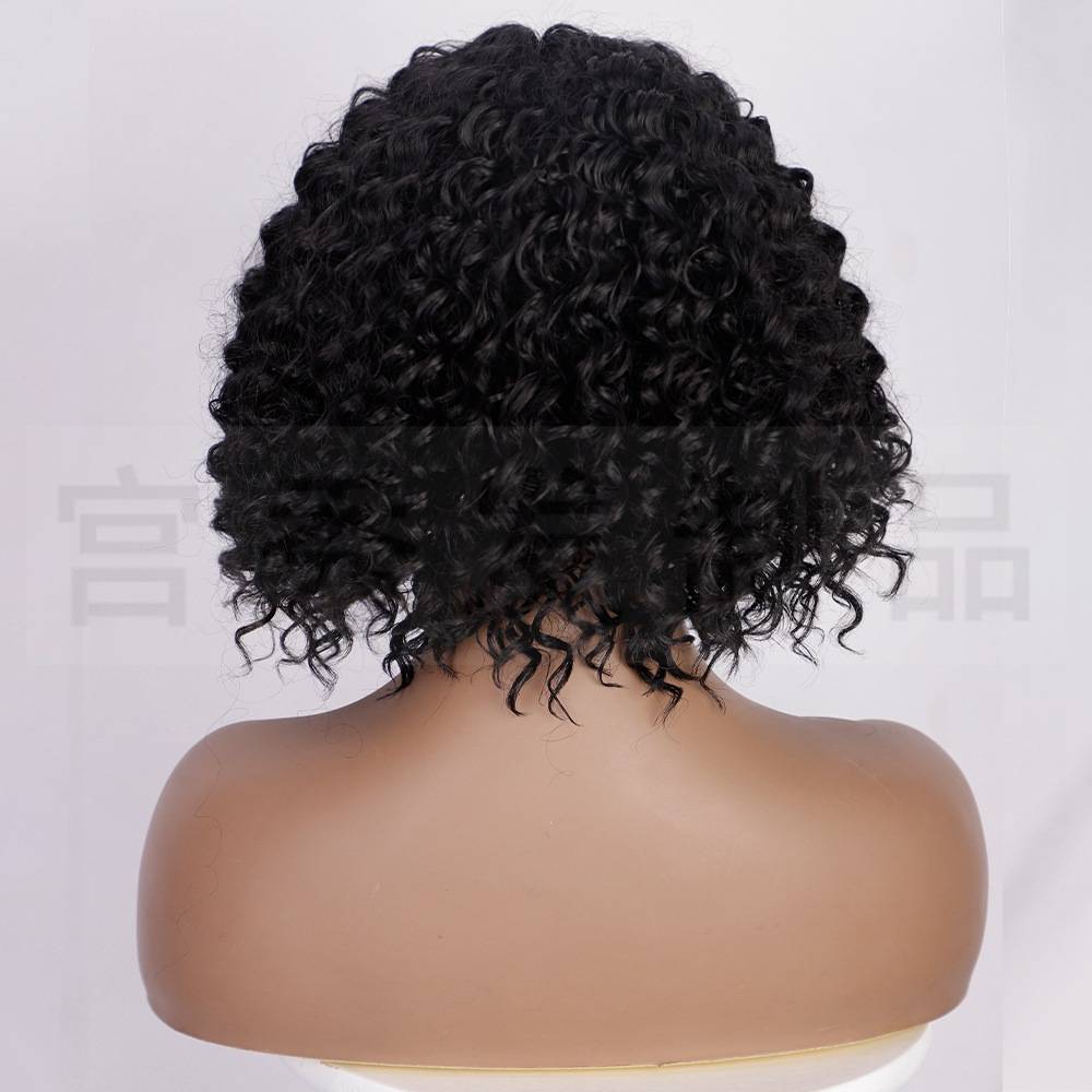 Wig European and American wig African curly short curly hair Kinky curly high -temperature chemical fiber silk head cover
