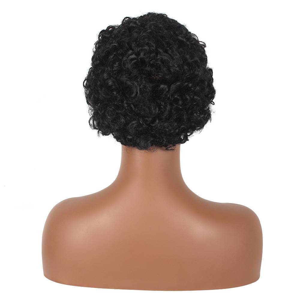 Latin American curly wig Short curly hair wig Wigs Wigs African small roll explosion head wig