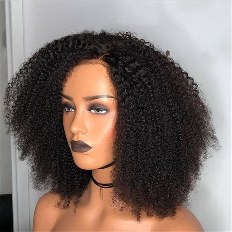 European and American fashion model ladies wig set black African short curly hair WISH popular model manufacturers