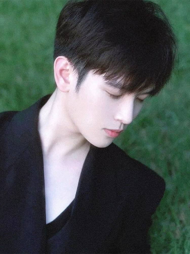 Wig Men's fashionable and handsome summer daily slightly fragmented covered bangs short straight hair fluffy natural simulation full header