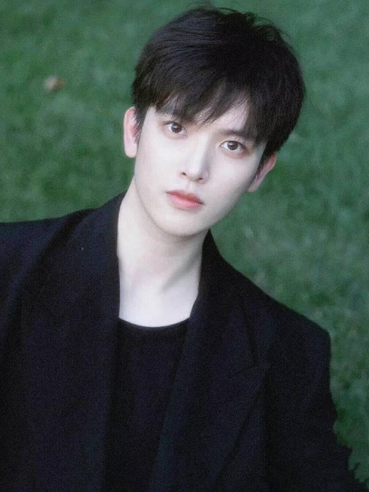 Wig Men's fashionable and handsome summer daily slightly fragmented covered bangs short straight hair fluffy natural simulation full header