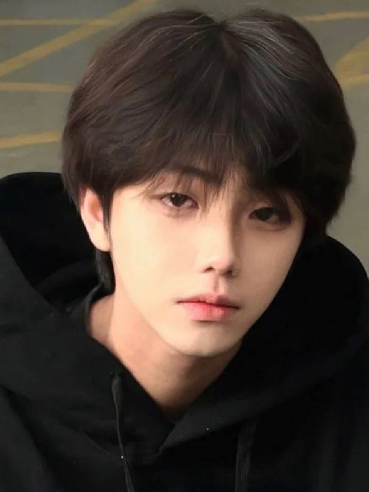 Wig Men's fashionable and handsome summer daily slightly fragmented covered bangs short straight hair fluffy natural simulation full header