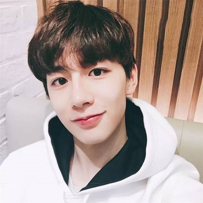 Korean male short hair is divided into bangs Korean fashion European and American manufacturers direct sales fiber high -temperature silk fake head cover