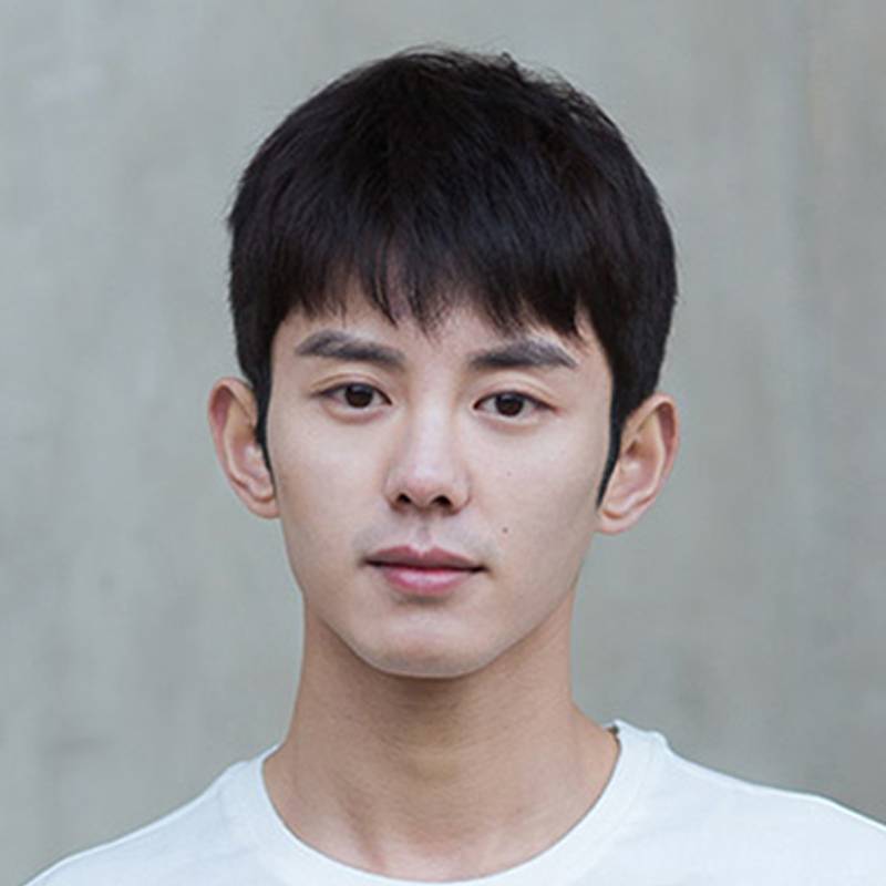 Men's short hair Korean version of handsome boy realistic short straight hair fashion natural men's fluffy random students black
