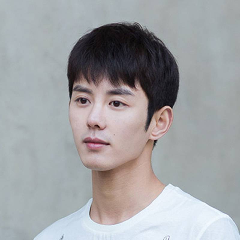 Men's short hair Korean version of handsome boy realistic short straight hair fashion natural men's fluffy random students black