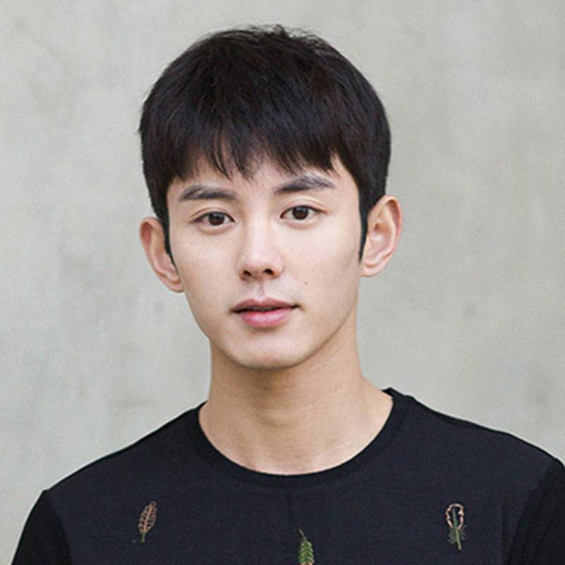 Men's short hair Korean version of handsome boy realistic short straight hair fashion natural men's fluffy random students black