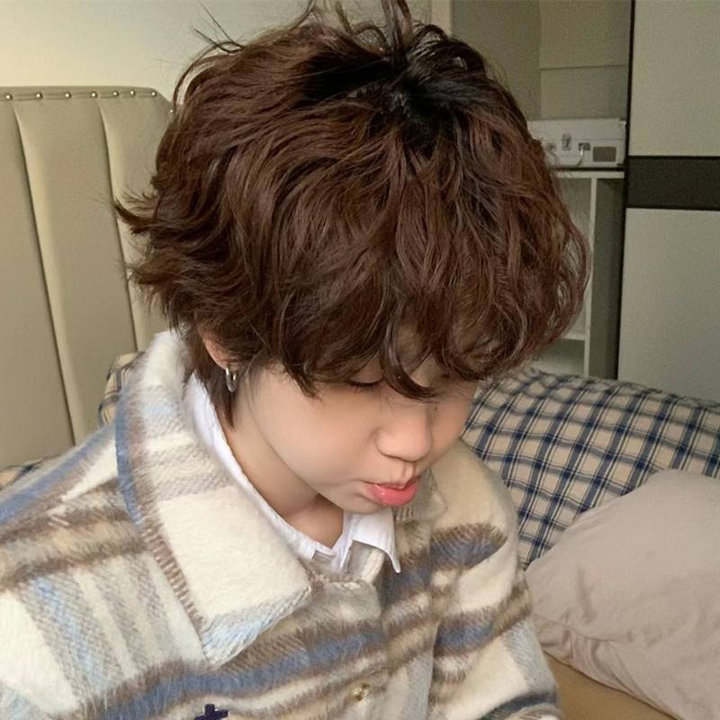 Ruibeica wig Men's short curly hair fashion handsome natural fluffy men's Korean version micro -divide wool roll daily simulation