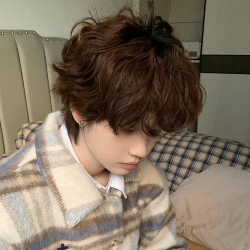 Ruibeica wig Men's short curly hair fashion handsome natural fluffy men's Korean version micro -divide wool roll daily simulation