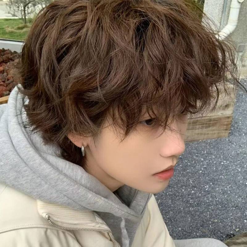 Ruibeica wig Men's short curly hair fashion handsome natural fluffy men's Korean version micro -divide wool roll daily simulation
