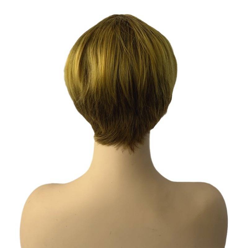 Cross -border wig female European and American fashion short hair oblique bangs chemical fiber full set Tiktok supply manufacturers
