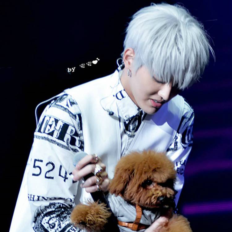 Handsome Korean men's online celebrity same fake animation cosplay short straight hair natural fluffy silver white fake
