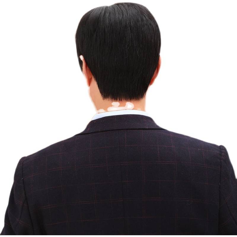 Middle -aged and elderly handsome, natural realistic middle -aged men's father, grandpa, short hair, simulated hair silk wig