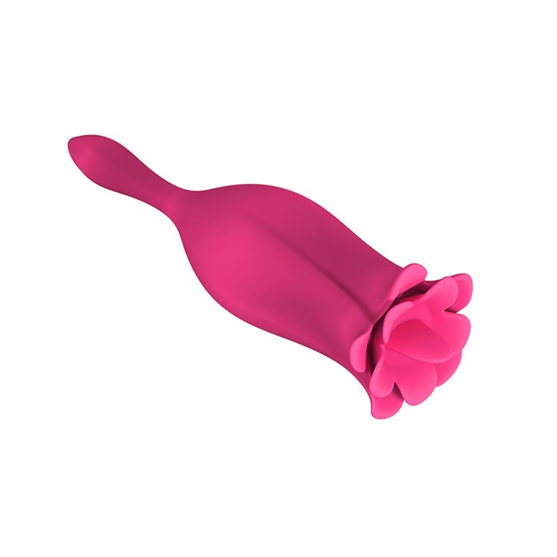 Clitoral Sucking Vibrator, G Spot Clit Dildo Vibrators Waterproof, Rechargeable Clitoris Stimulator with 10 Suction & Vibration
