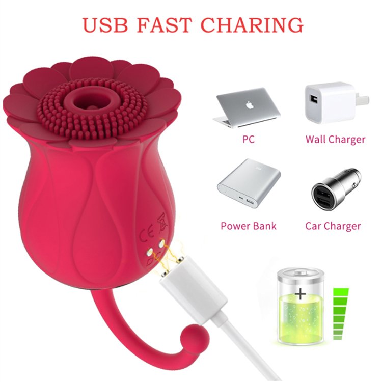 Nipple Anal Massager 10 Modes Suction Licking Vibrator for Clitoris Vagina Sun Flower Vibrators Sex Toys for Women USB Aisin