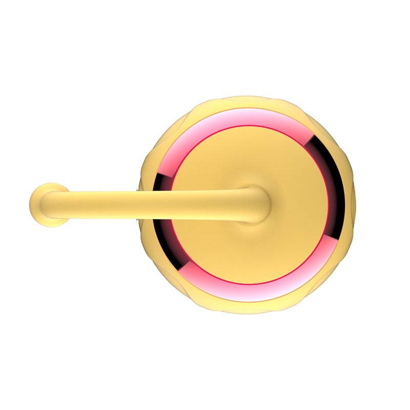 Nipple Anal Massager 10 Modes Suction Licking Vibrator for Clitoris Vagina Sun Flower Vibrators Sex Toys for Women USB Aisin