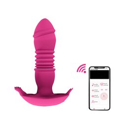 APP-rose