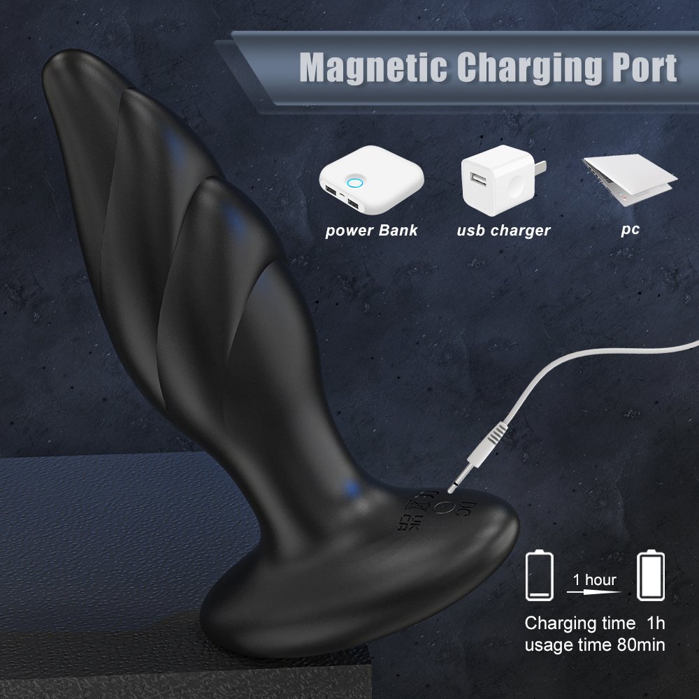 Men's Soft Silicone Remote Control Anal Dildo Shipping Adult Butt Plug Stainless Steel Material Anal Sex Toys