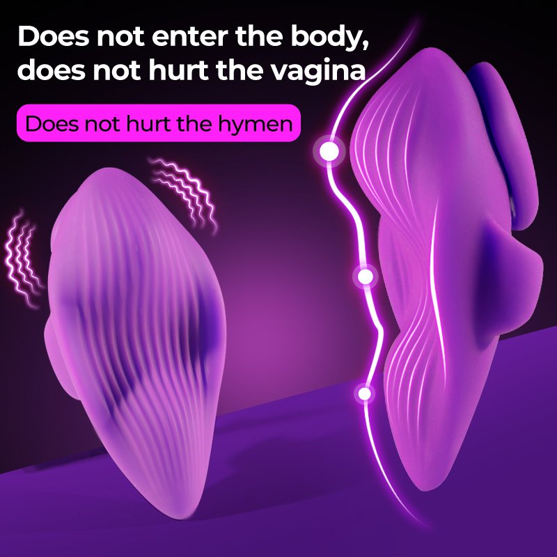2024 New Style Wearable Panties Clitoral Vibrating Vagina Anal Stimulator Silicone Vibrator Sex Toy for Women