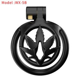 WX_5B