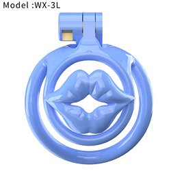 WX_3L