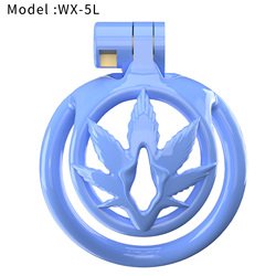 WX_5L