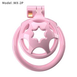 WX-2P