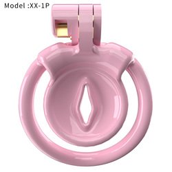 XX-1P